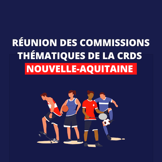 Réunion des commissions thématiques de la CRdS Nouvelle-Aquitaine